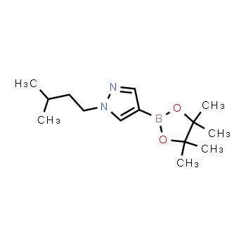 777063-41-9 | 1-isopentyl-4-(4,4,5,5-tetramethyl-1,3,2-dioxaborolan-2-yl)-1H-pyrazole