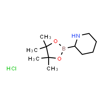 811439-31-3 | 2-(4,4,5,5-tetramethyl-1,3,2-dioxaborolan-2-yl)piperidine hydrochloride