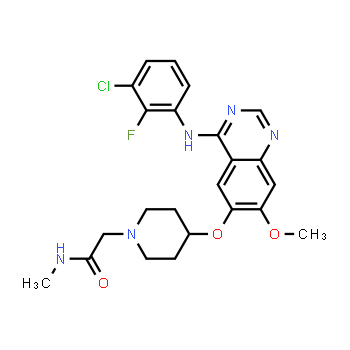 848942-61-0 | 2-(4-((4-((3-chloro-2-fluorophenyl)amino)-7-methoxyquinazolin-6-yl)oxy)piperidin-1-yl)-N-methylacetamide