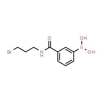 850567-42-9 | 3-(3-bromopropylcarbamoyl)phenylboronic acid