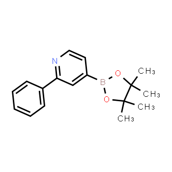 879291-26-6 | 2-phenyl-4-(4,4,5,5-tetramethyl-1,3,2-dioxaborolan-2-yl)pyridine