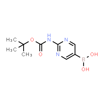 883231-25-2 | [2-(tert-butoxycarbonylamino)pyrimidin-5-yl]boronic acid