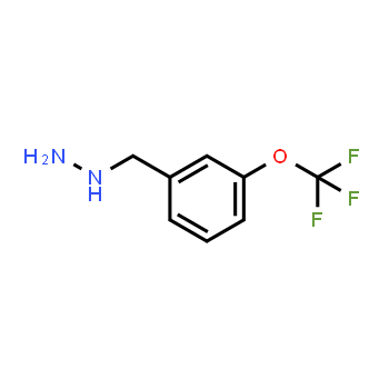 887595-84-8 | {[3-(trifluoromethoxy)phenyl]methyl}hydrazine