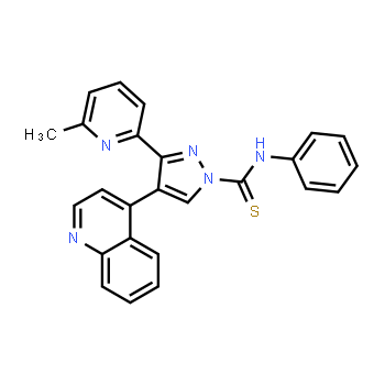 909910-43-6 | 3-(6-methylpyridin-2-yl)-N-phenyl-4-(quinolin-4-yl)-1H-pyrazole-1-carbothioamide