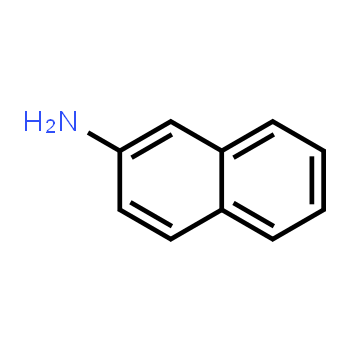 91-59-8 | 2-Aminonaphthalene