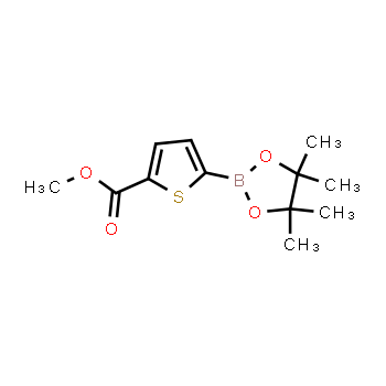 916138-13-1 | methyl 5-(4,4,5,5-tetramethyl-1,3,2-dioxaborolan-2-yl)thiophene-2-carboxylate