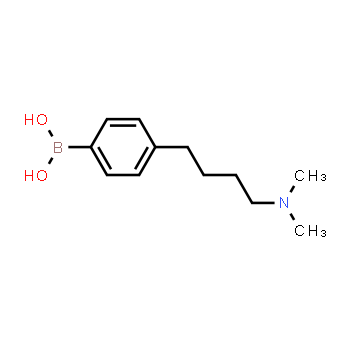 922501-02-8 | 4-(4-(dimethylamino)butyl)phenylboronic acid