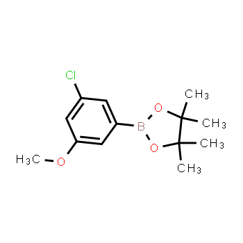 929626-16-4 | 2-(3-chloro-5-methoxyphenyl)-4,4,5,5-tetramethyl-1,3,2-dioxaborolane