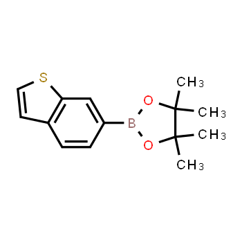 937182-06-4 | 2-(benzo[b]thiophen-6-yl)-4,4,5,5-tetramethyl-1,3,2-dioxaborolane