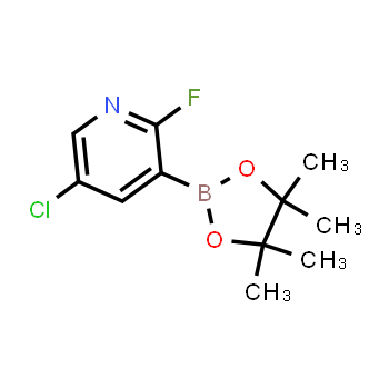 937595-72-7 | 5-chloro-2-fluoro-3-(4,4,5,5-tetramethyl-1,3,2-dioxaborolan-2-yl)pyridine