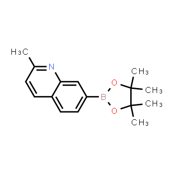 939052-79-6 | 2-methyl-7-(4,4,5,5-tetramethyl-1,3,2-dioxaborolan-2-yl)quinoline