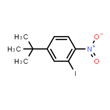 942204-75-3 | 4-(tert-butyl)-2-iodo-1-nitrobenzene