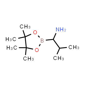 94242-77-0 | 2-methyl-1-(4,4,5,5-tetramethyl-1,3,2-dioxaborolan-2-yl)propan-1-amine