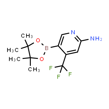 944401-57-4 | 5-(4,4,5,5-tetramethyl-1,3,2-dioxaborolan-2-yl)-4-(trifluoromethyl)pyridin-2-amine