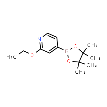 957346-47-3 | 2-ethoxy-4-(4,4,5,5-tetramethyl-1,3,2-dioxaborolan-2-yl)pyridine